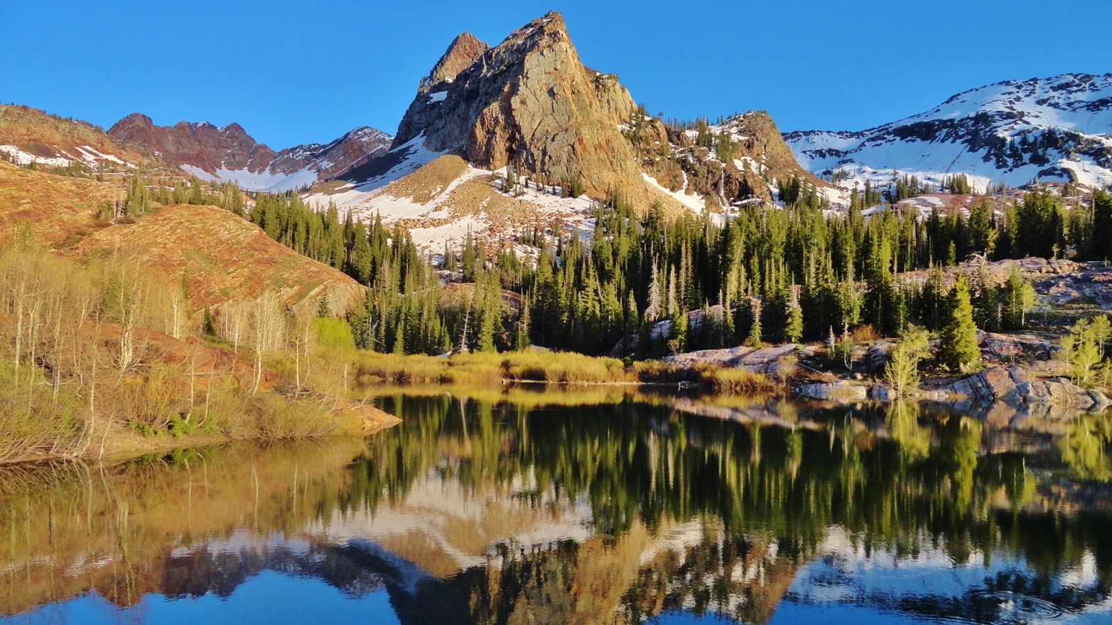 Twin Peaks Wilderness