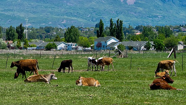 Land Use Planning